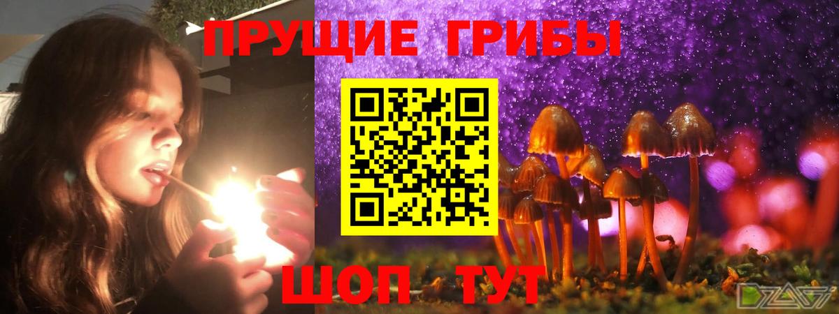 Галлюциногенные грибы прущие грибы  Вход с VPN  Вязники 