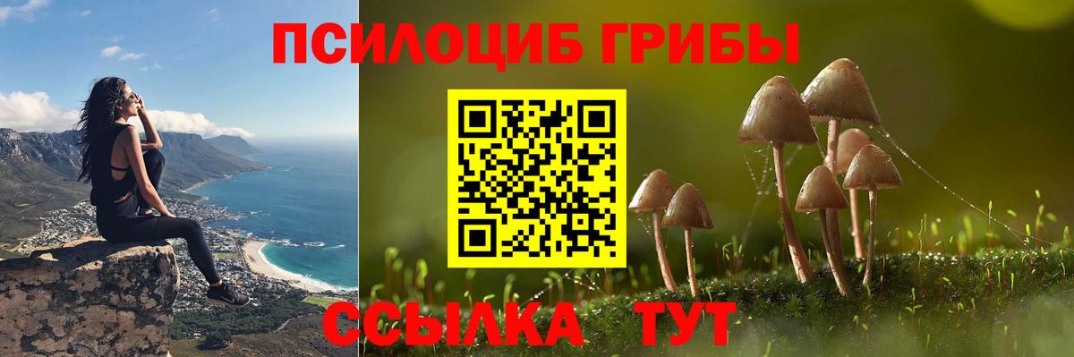Галлюциногенные грибы мицелий Вязники
